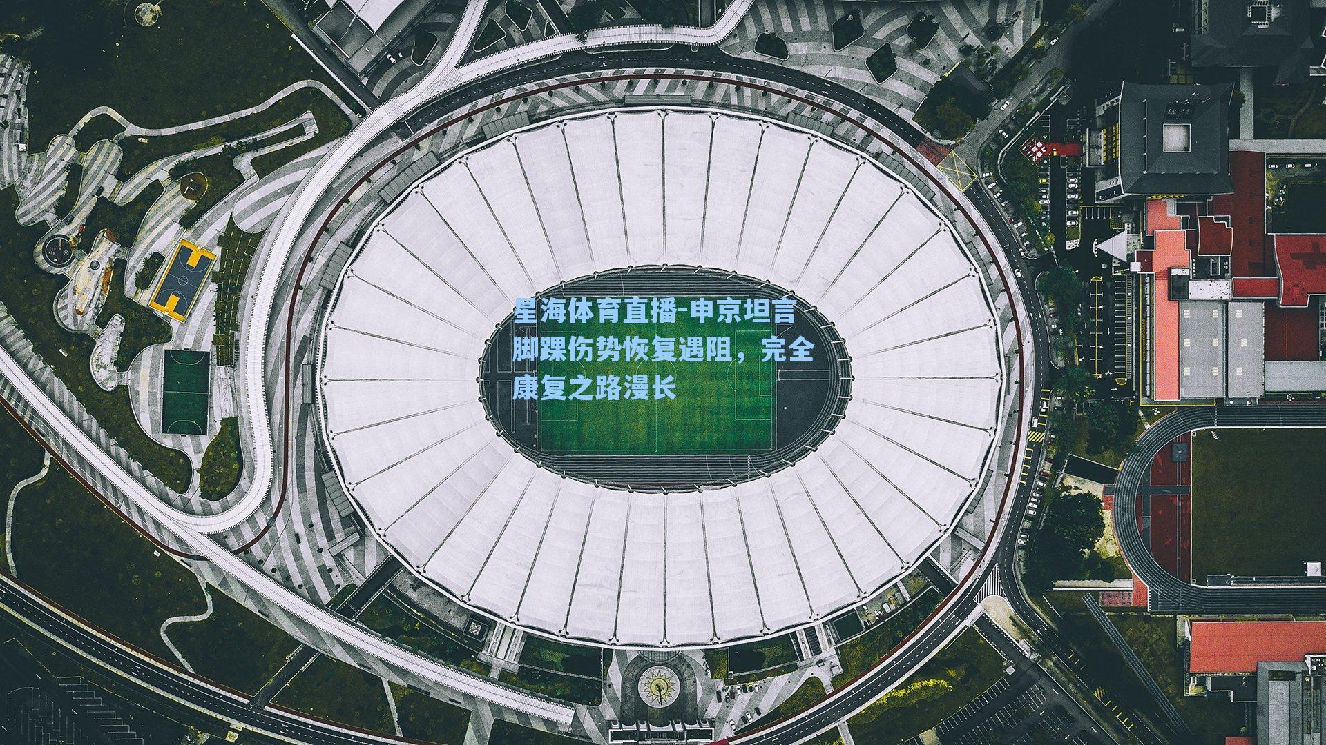 申京坦言脚踝伤势恢复遇阻，完全康复之路漫长