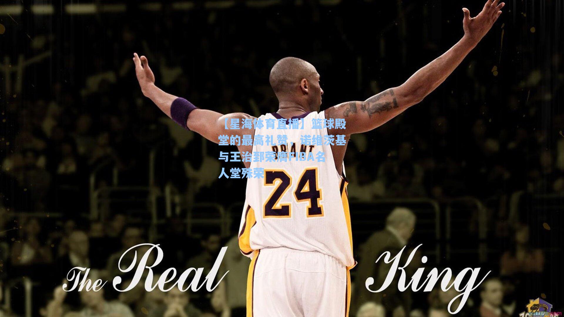 篮球殿堂的最高礼赞,诺维茨基与王治郅荣膺FIBA名人堂殊荣